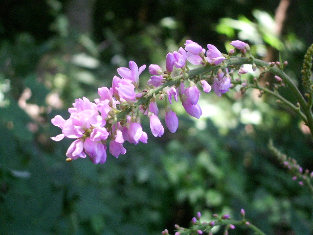e0025300_15272753.jpg