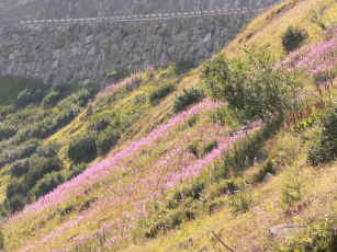 a0056401_2255786.jpg