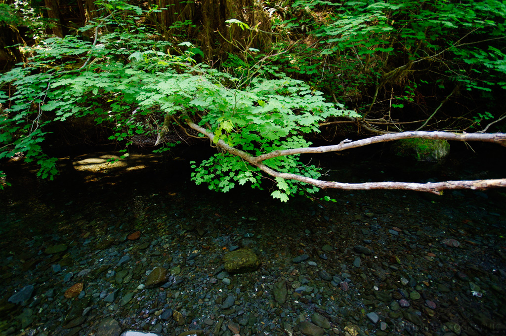 c0080101_15141451.jpg