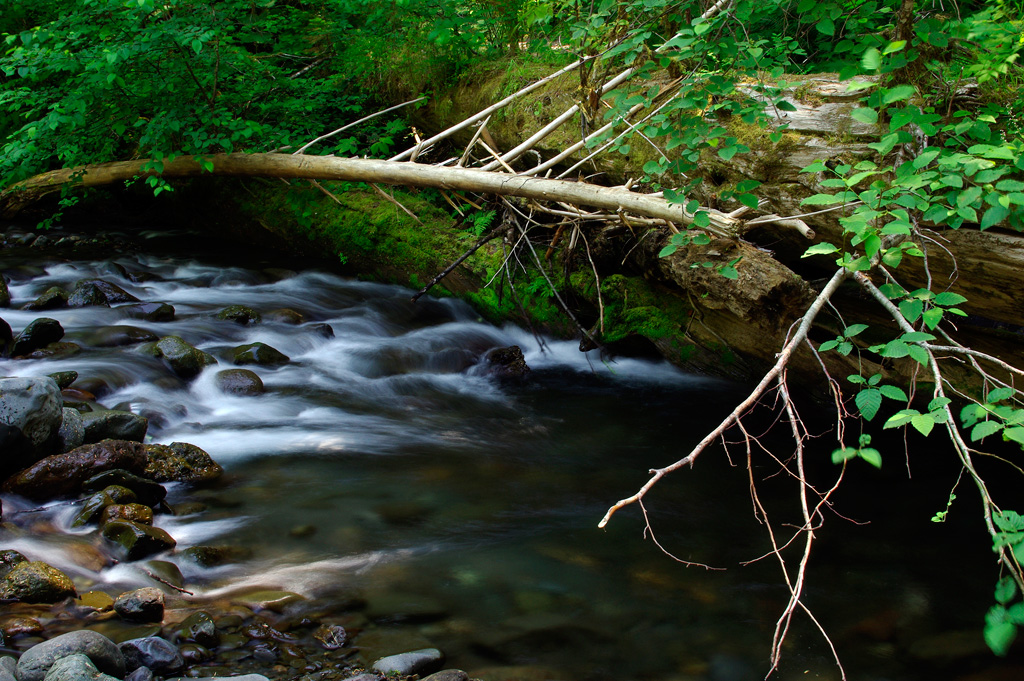 c0080101_15142614.jpg