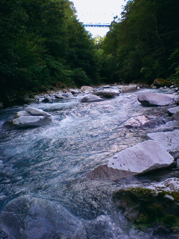 f0002701_8554442.jpg