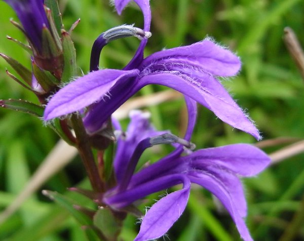 f0187402_18162958.jpg