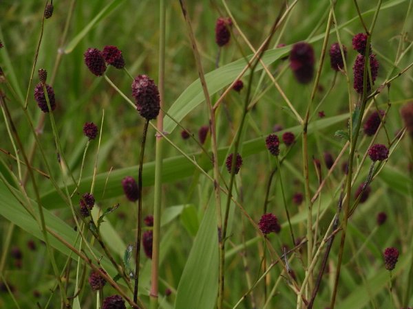f0187402_18164665.jpg