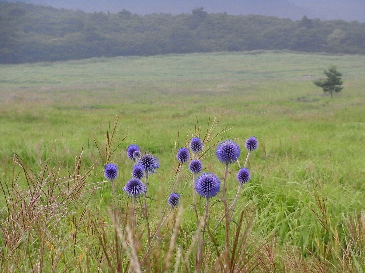 f0187402_18295842.jpg
