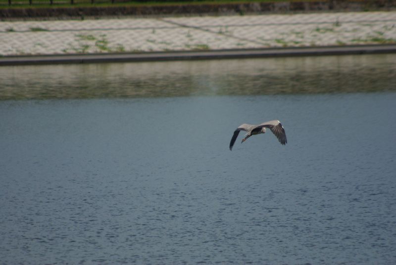 c0187503_14321513.jpg