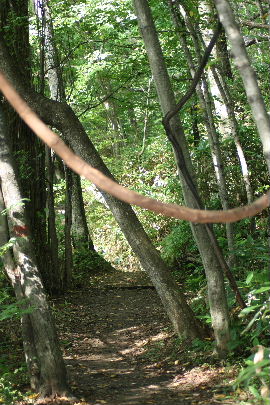 f0041606_20474070.jpg