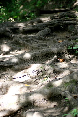 f0041606_2054741.jpg