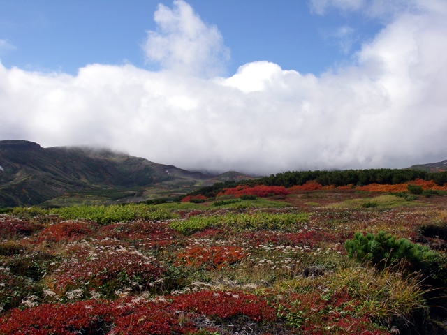 d0051707_2133323.jpg