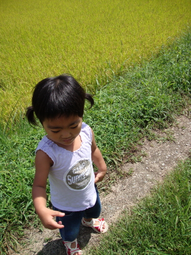 c0187008_1525351.jpg