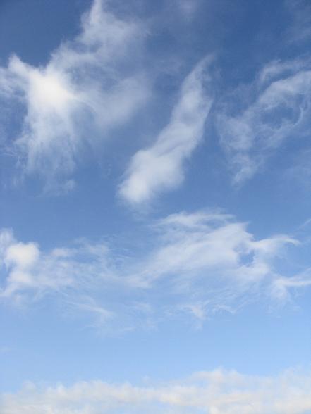 e0123808_17373272.jpg