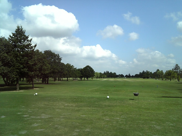 f0098210_1657261.jpg