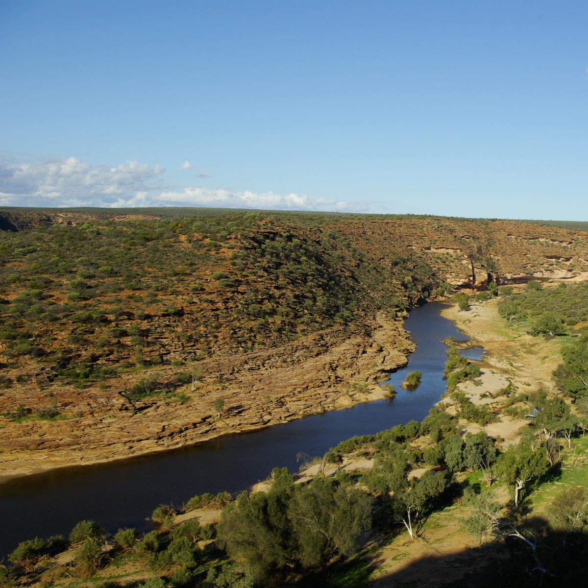 e0142611_1805164.jpg