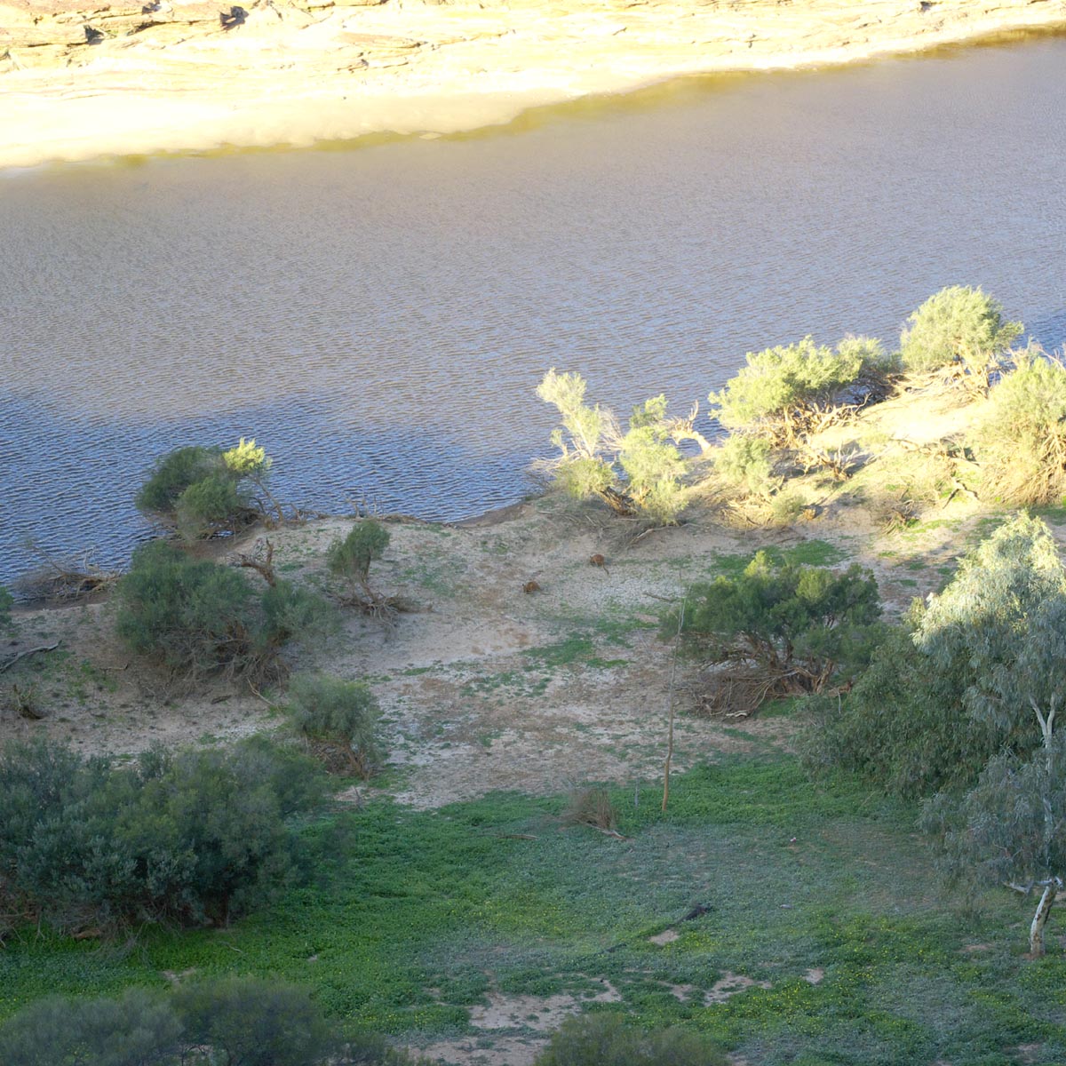 e0142611_1824477.jpg