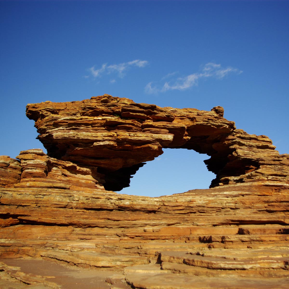 e0142611_1871269.jpg