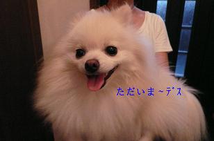 b0167519_0565570.jpg