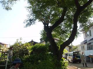 b0008825_10151455.jpg