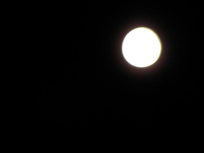 c0201427_21585025.jpg