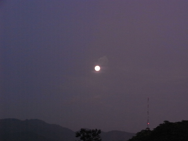 f0169328_8274448.jpg
