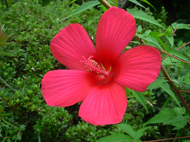 b0185330_13491632.jpg