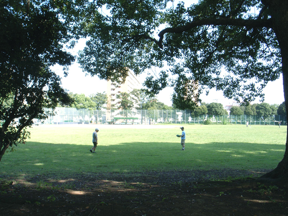 c0097932_2041964.jpg