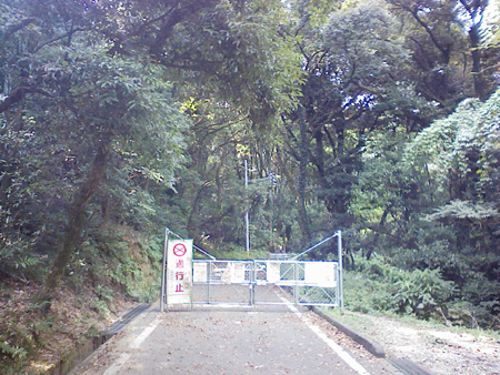 a0129233_1553593.jpg
