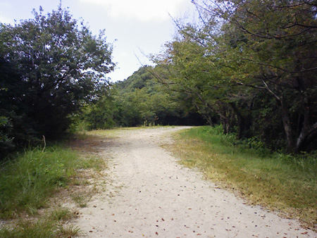 a0129233_1625489.jpg