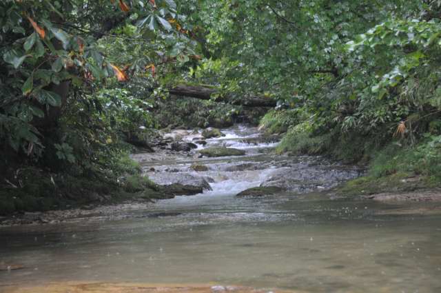 c0133133_1941126.jpg