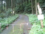 c0077338_2048928.jpg