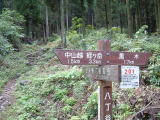 c0077338_20491922.jpg