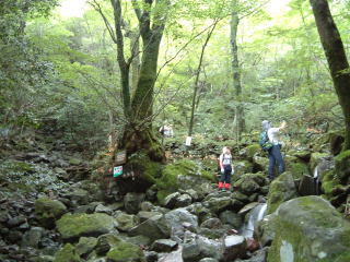 c0077338_2051424.jpg