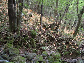 c0077338_2052685.jpg