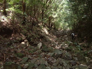 c0077338_211122.jpg