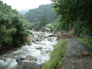 c0077338_21582941.jpg