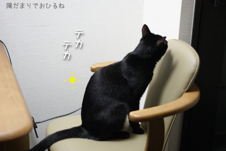 c0132438_215887.jpg