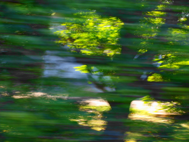 c0202938_14571069.jpg
