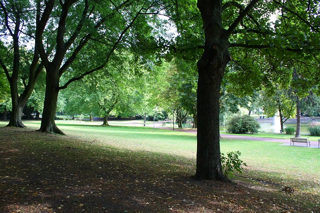 c0153740_4133055.jpg
