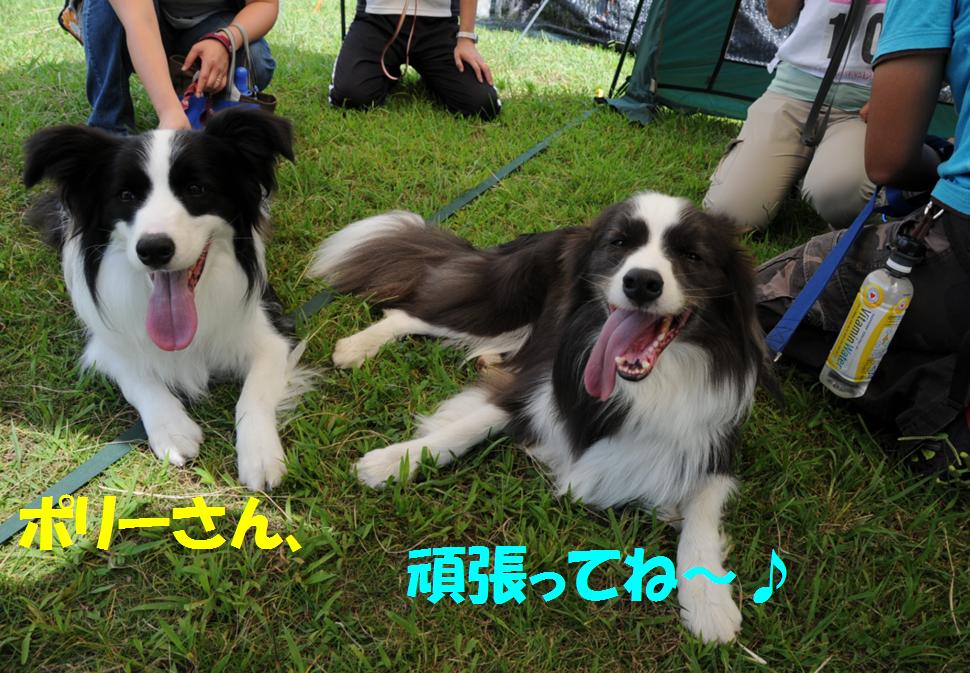 c0147241_22235178.jpg