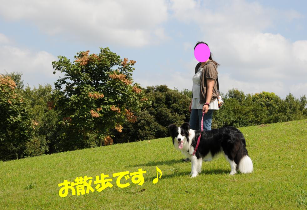 c0147241_22242881.jpg