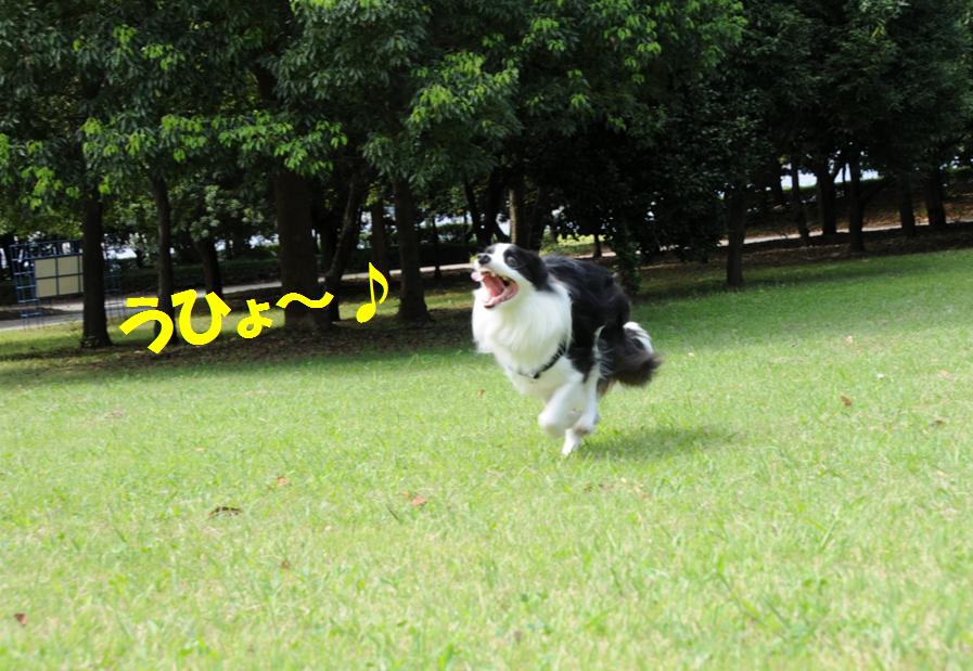 c0147241_22275690.jpg