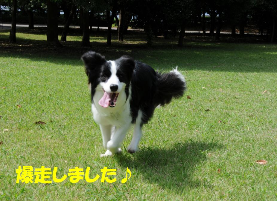 c0147241_2228366.jpg