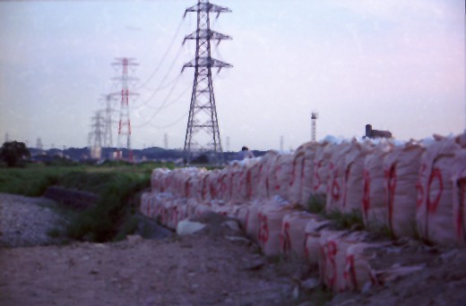 b0016043_193155.jpg