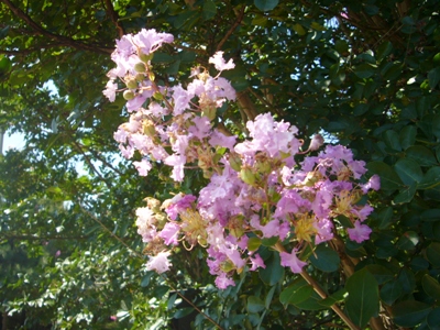 e0100046_21414458.jpg