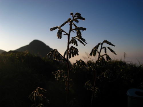 c0179351_2156437.jpg