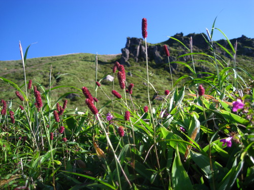 c0179351_21595932.jpg
