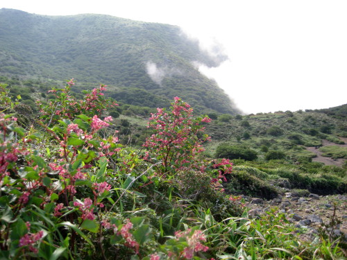c0179351_223573.jpg
