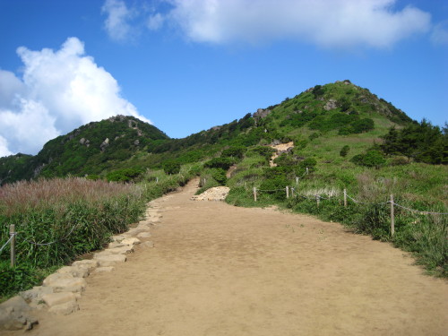 c0179351_2242818.jpg