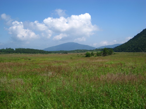 c0179351_2274364.jpg
