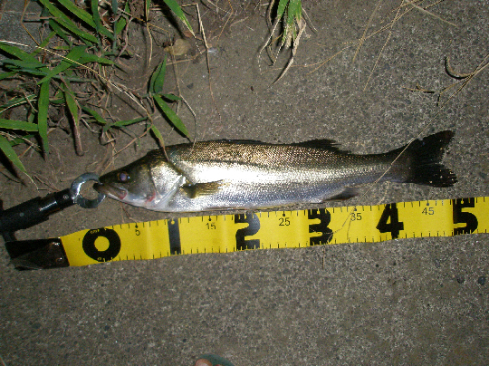 f0150151_2002946.jpg