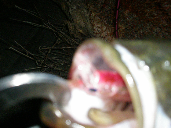 f0150151_2004379.jpg