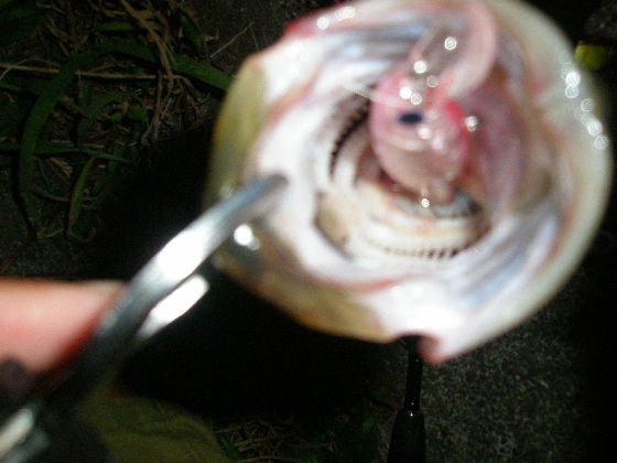 f0150151_2005485.jpg